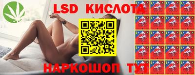 крисы Беслан