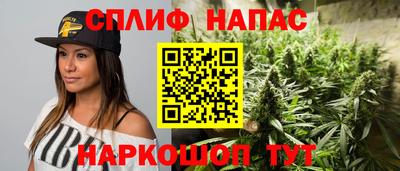 крисы Беслан