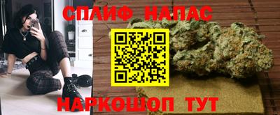 крисы Беслан
